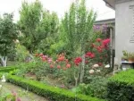 Casa vanzare - 33000 euro - Miniatura 2
