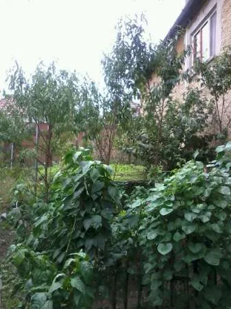  VAND CASA pe str. Ion Creanga- CUGIR - Imaginea 3