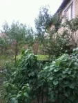  VAND CASA pe str. Ion Creanga- CUGIR - Miniatura 3