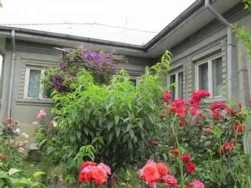 Casa vanzare - 33000 euro - Imaginea 3
