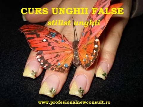 Curs Stilist Unghii  - Imaginea 1