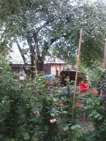  VAND CASA pe str. Ion Creanga- CUGIR - Imaginea 5