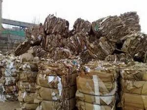 DESEURI CARTON