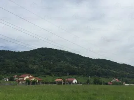 Vand teren Calimanesti Valcea - Imaginea 6