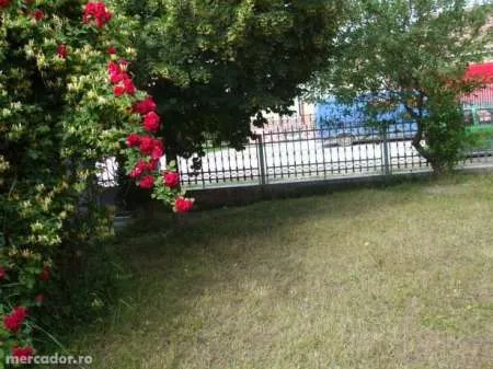 Vand casa in Ocna-Mures sau schimb cu apartament in Alba-Iulia - Imaginea 2