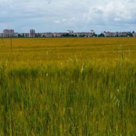 Teren de vanzare Remus, Giurgiu - Imaginea 1