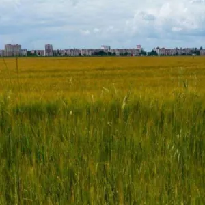 Teren de vanzare Remus, Giurgiu