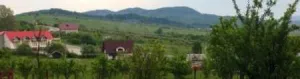 Vand teren Horezu, jud. Valcea