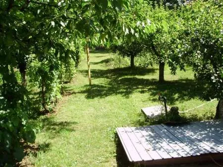 Teren localitatea Mierea cu liziera de padure [ 522] - Imaginea 5