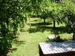 Teren localitatea Mierea cu liziera de padure [ 522] - Miniatura 5