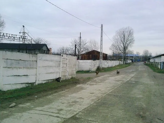 Vanzare teren Roman, strada Nicolae Balcescu - Imaginea 1