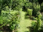 Teren localitatea Mierea cu liziera de padure [ 522] - Miniatura 8