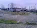 Vanzare teren Roman, strada Nicolae Balcescu - Miniatura 6
