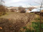 Vand teren intravilan, 1200mp, localitatea Persunari,Gura Vadului, (5 Km de Mizi)l - Miniatura 3