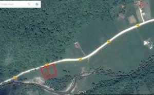 Teren intravilan Zarnesti - Plaiul Foii, zona Sub Bortila, 2721 m2 cu deschidere 57 m direct la drumul spre Cabana Plaiul Foii