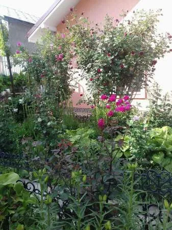 Vand casa in Husi str. A I Cuza - Imaginea 4