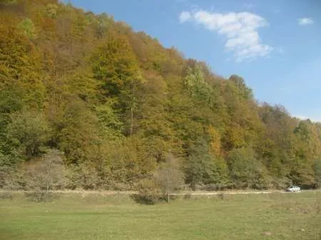 Teren intravilan Zarnesti - Plaiul Foii, zona Sub Bortila, 2721 m2 cu deschidere 57 m direct la drumul spre Cabana Plaiul Foii - Imaginea 3