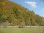 Teren intravilan Zarnesti - Plaiul Foii, zona Sub Bortila, 2721 m2 cu deschidere 57 m direct la drumul spre Cabana Plaiul Foii - Miniatura 3