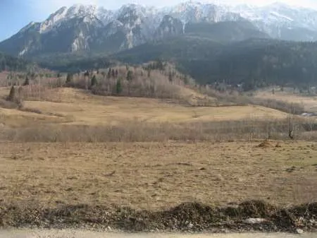 Teren intravilan Zarnesti - Plaiul Foii, zona Sub Bortila, 2721 m2 cu deschidere 57 m direct la drumul spre Cabana Plaiul Foii - Imaginea 4