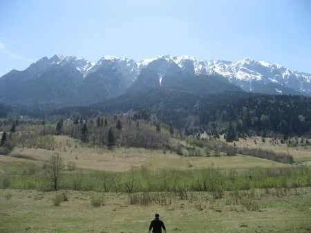 Teren intravilan Zarnesti - Plaiul Foii, zona Sub Bortila, 2721 m2 cu deschidere 57 m direct la drumul spre Cabana Plaiul Foii - Imaginea 5