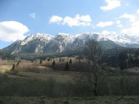 Teren intravilan Zarnesti - Plaiul Foii, zona Sub Bortila, 2721 m2 cu deschidere 57 m direct la drumul spre Cabana Plaiul Foii - Imaginea 6