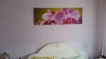 Vand apartament modificat, in zona linistita. - Miniatura 8