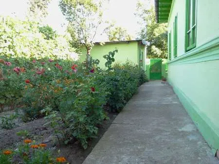 Casa 5 camere Corabia - Imaginea 1