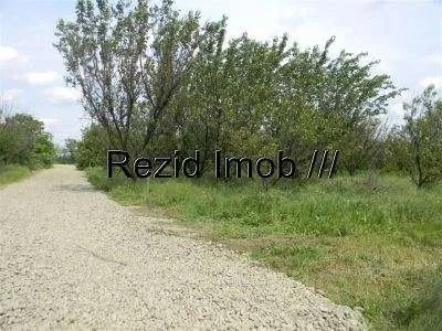 Vand Teren 600mp Buftea- Crevedia - Imaginea 3