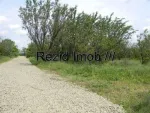 Vand Teren 600mp Buftea- Crevedia - Miniatura 3