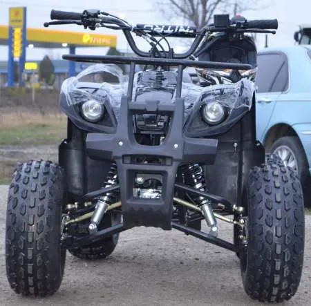 Model: ATV Grizzly R8 125 CC Import Germania - Imaginea 1