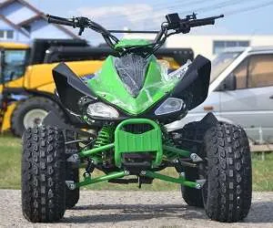 ATV Raptor Maniche 125cc - Imaginea 1