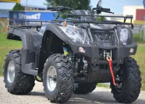 ATV Rebel 250 Oferta sarbatorilor de iarna