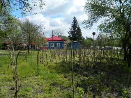 Casa de vanzare - Spantov, Jud. Calarasi - Imaginea 1