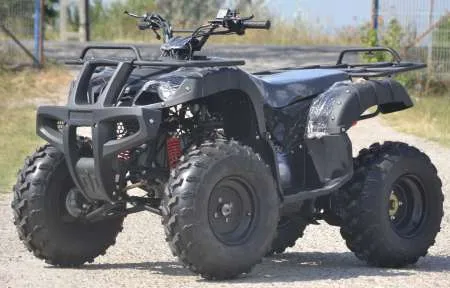 250cc Grizzly  10 " Oferta sarbatorilor de iarna - Imaginea 1