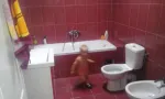 vind casa in sat urca - Miniatura 5