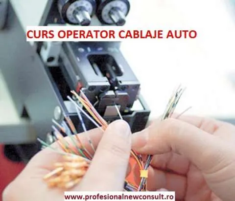 Curs Confectioner Cablaje Auto - Imaginea 1