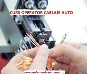 Curs Confectioner Cablaje Auto