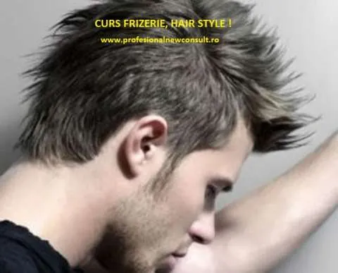 Curs Frizer - Imaginea 1