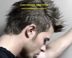 Curs Frizer