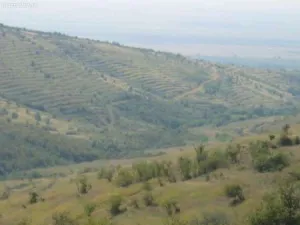 De vanzare teren agricol Valea Urloi 3. 5 ha