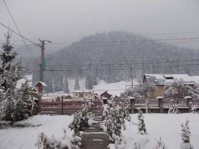 Revelion in Bucovina - Imaginea 1