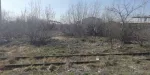 Vanzare teren Vladimirescu - Miniatura 2