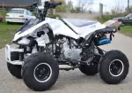 Atv Speedy 125cc Roti de 7 Inch, nou cu garantie kxd - Miniatura 2