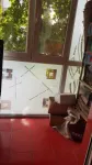 Proprietar apt 3 camere Gaesti Dambovita, et 1, centrala termica - Miniatura 2