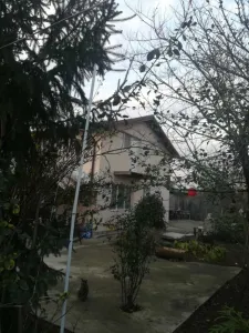 Imobiliare