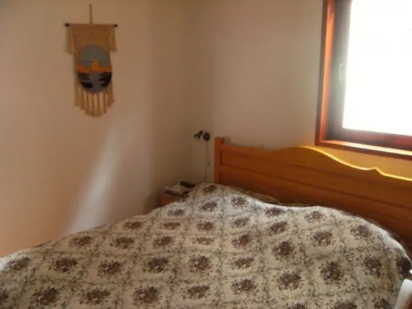 Casa + Spatiu comercial Darmanesti - Imaginea 2