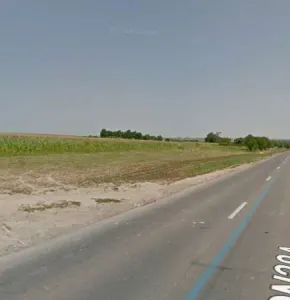 teren de vanzare Ruginoasa