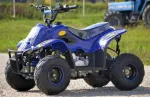 Atv Panzer 125cc, Roti De 6 Inch - Miniatura 5