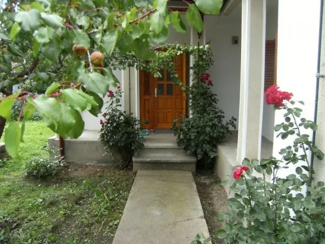 Casa + Spatiu comercial Darmanesti - Imaginea 9