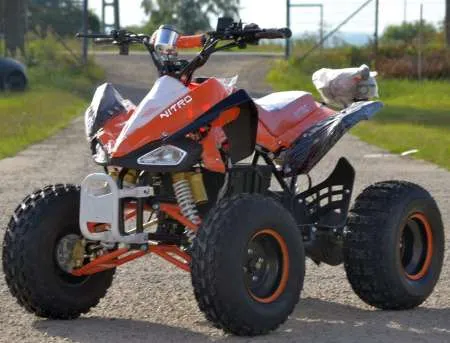 Model: ATV Bashnee E-Quad 1000W  Livrare In 24H - Imaginea 1